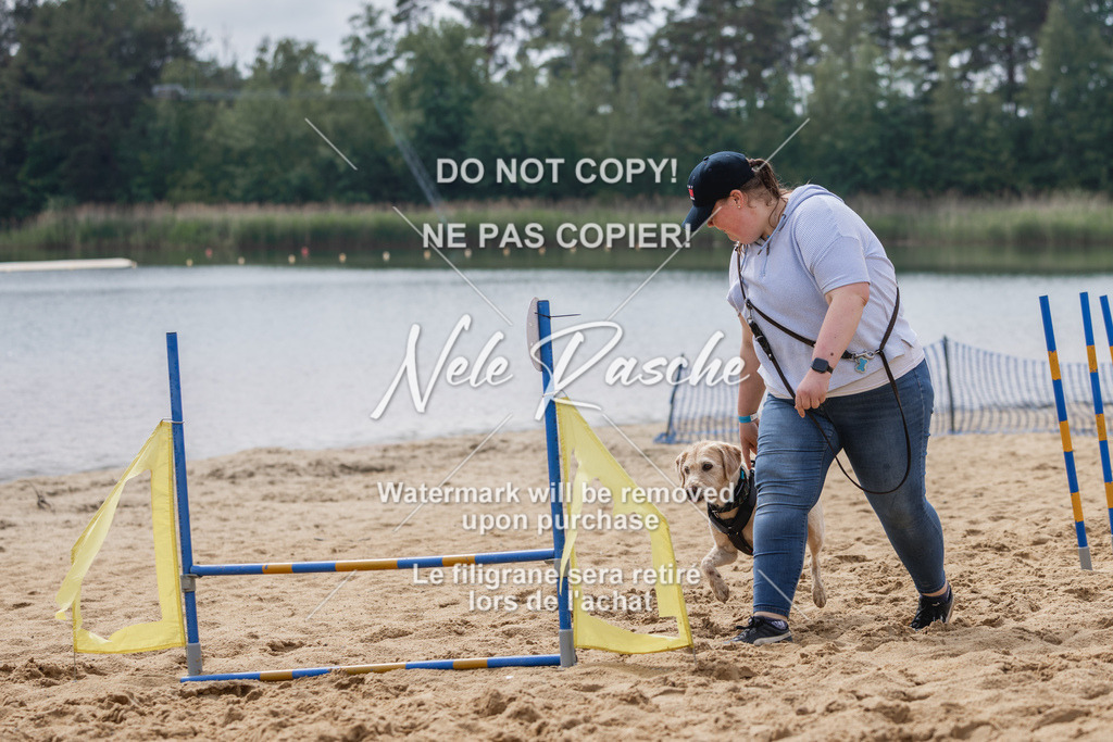 nelerasche_BuHu2026_So1530-Ende_69 | nelerasche