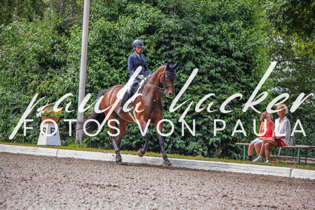 IMG_8785 | Erleben Sie dynamische Sport- und emotionale Tierfotografie in Süddeutschland mit Fotos von Paula. Spezialisiert auf Pferde- und Hundefotografie sowie Sportevents. Kontaktieren Sie mich für einzigartige und ausdrucksstarke Bilder Ihrer besonderen Momente. - Realisiert mit Pictrs.com