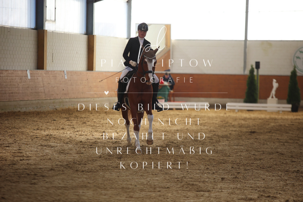 IMGT9685 | pl-fotografie