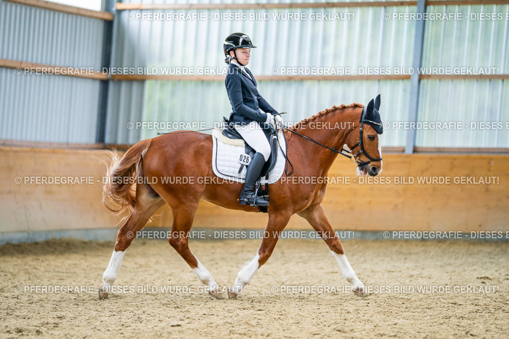 DSC04764 | Pferdegrafie