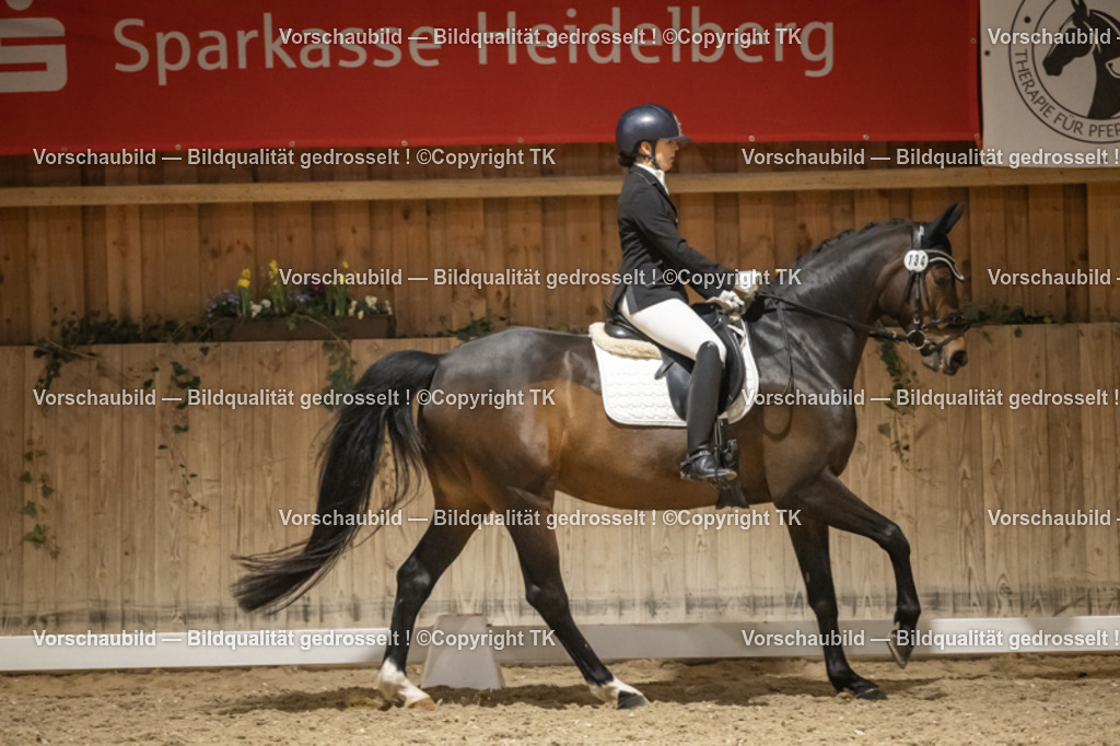 _D5A0922 | Emotionale Pferde- & People-Fotografie rund um Heidelberg, Leimen & Umgebung. Natürliche Fotos von Pferd, Mensch & Familie. Jetzt Termin sichern!