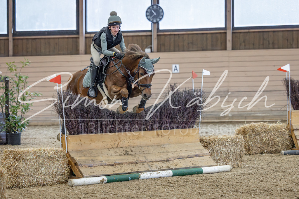 20260221-_3LI9706 | Tierfotografie Pferde, Hunde, Katzen, Haustiere.
Turnierfotografie Reitturniere, Reiten, Springreiten, Dressur in Hanau, dem Main-Kinzig-Kreis und dem Rhein-Main- Gebiet um Frankfurt
