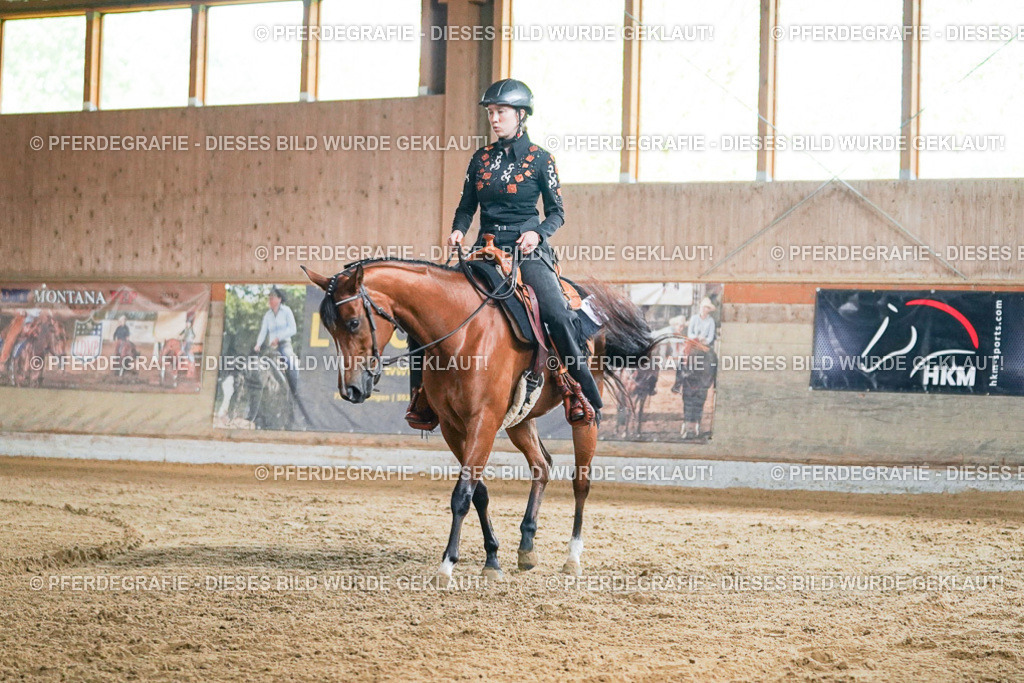 DSC05441 | Pferdegrafie