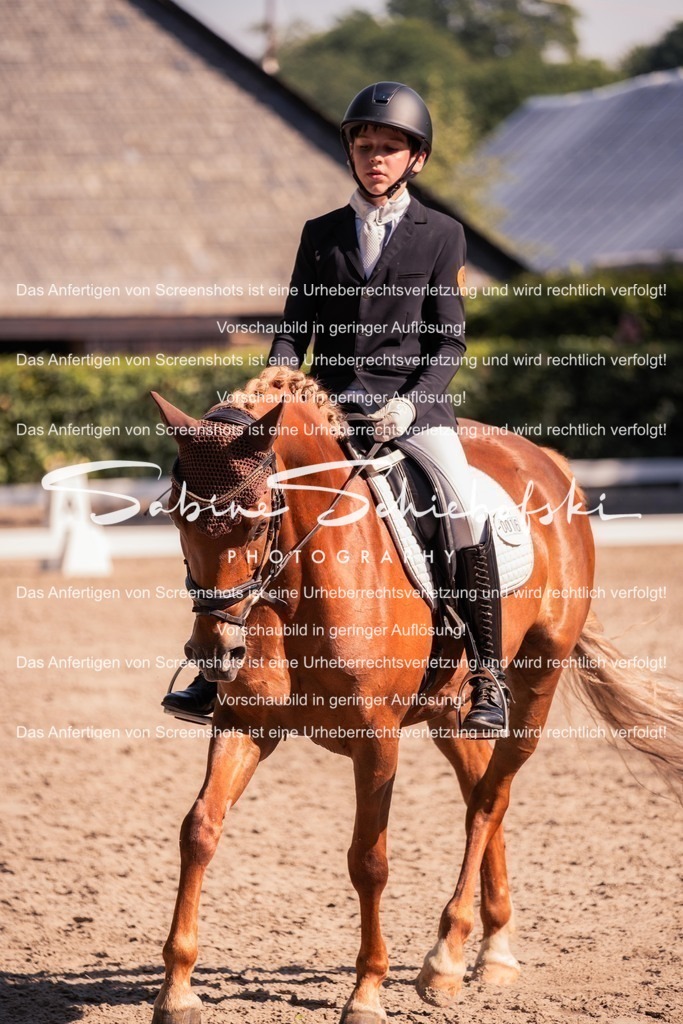 2025_05_31_DSCF2969 | People- und Tierfotografie, Imageaufnahmen, Veranstaltungsfotografie und Wandbilder aus der Natur ★ Made in Germany ✔️ Druck + Downloads ✔️ Naturfotografie in Top Qualität ★ schneller Versand, weltweite Lieferung! - Realisiert mit Pictrs.com