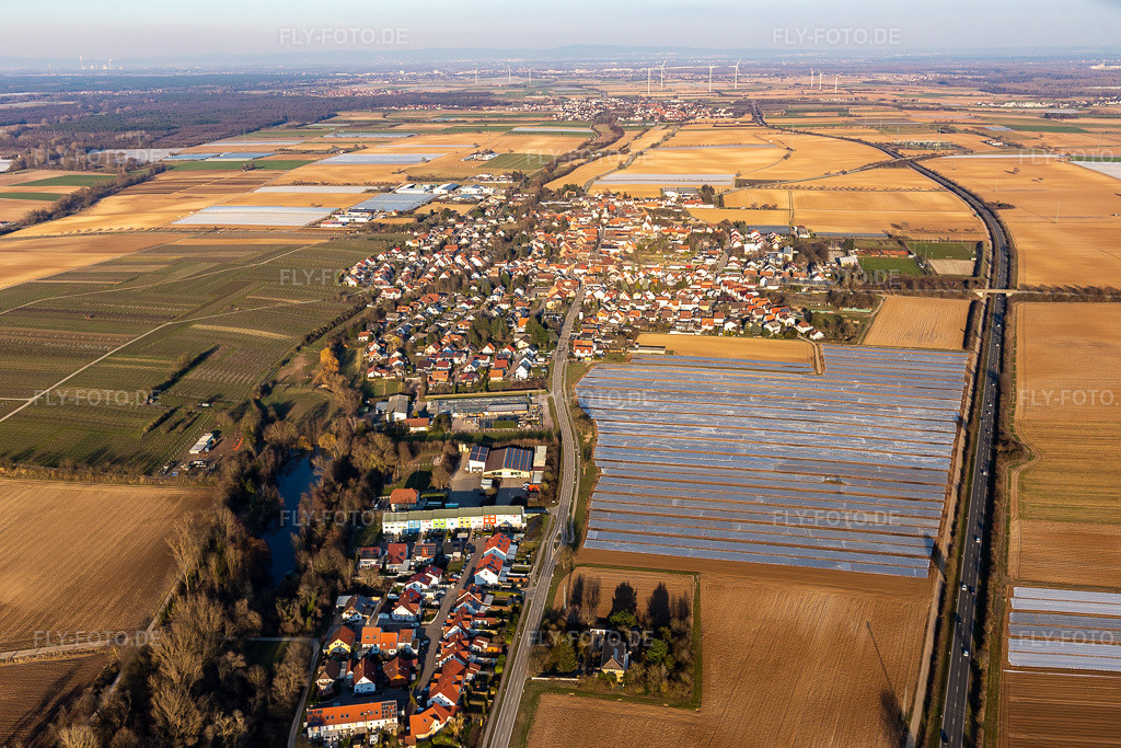 Luftbild: Landwirtschaftliche Nutzflächen und Feldgrenzen umsäumen das Siedlungsgebiet des Dorfes (Pfalz) in Weingarten im Bundesland Rheinland-Pfalz in Deutschland. Foto: IMG_126077.jpg vom 07.03.2021 durch Werner Riehm/FLY-FOTO.de