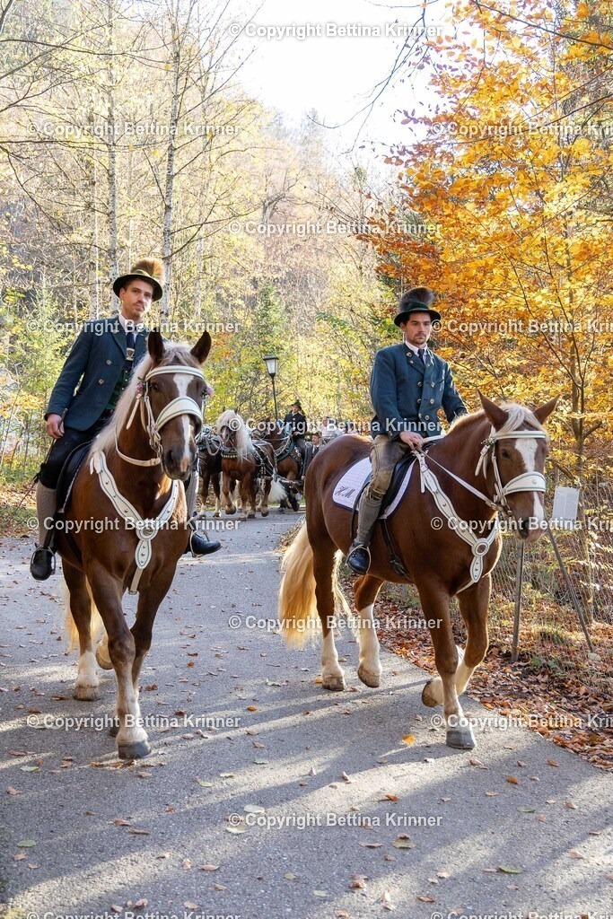 LL24-277 | foto-bettina-krinner - Realisiert mit Pictrs.com