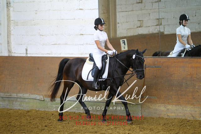 DKP44163 | Turniersportfotografie; Pferdefotografie; Dressurfotografie