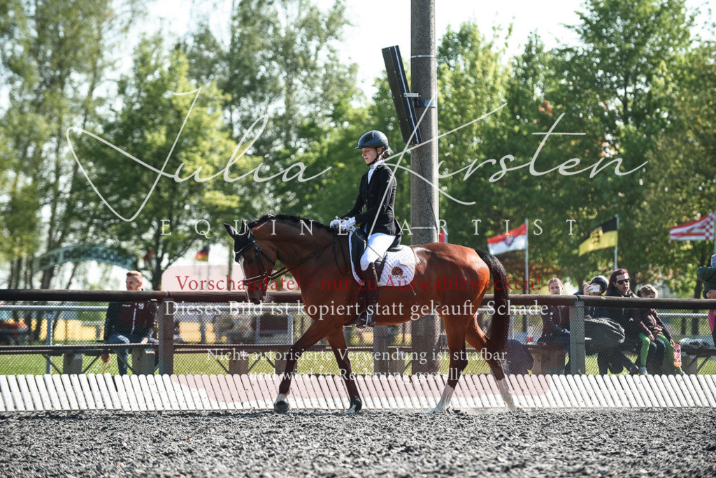 DSC_8660 | Pferde- und Turnierfotografie in Westsachsen. Pferdeportraits, Auftragszeichnungen und intuitive Kunst.