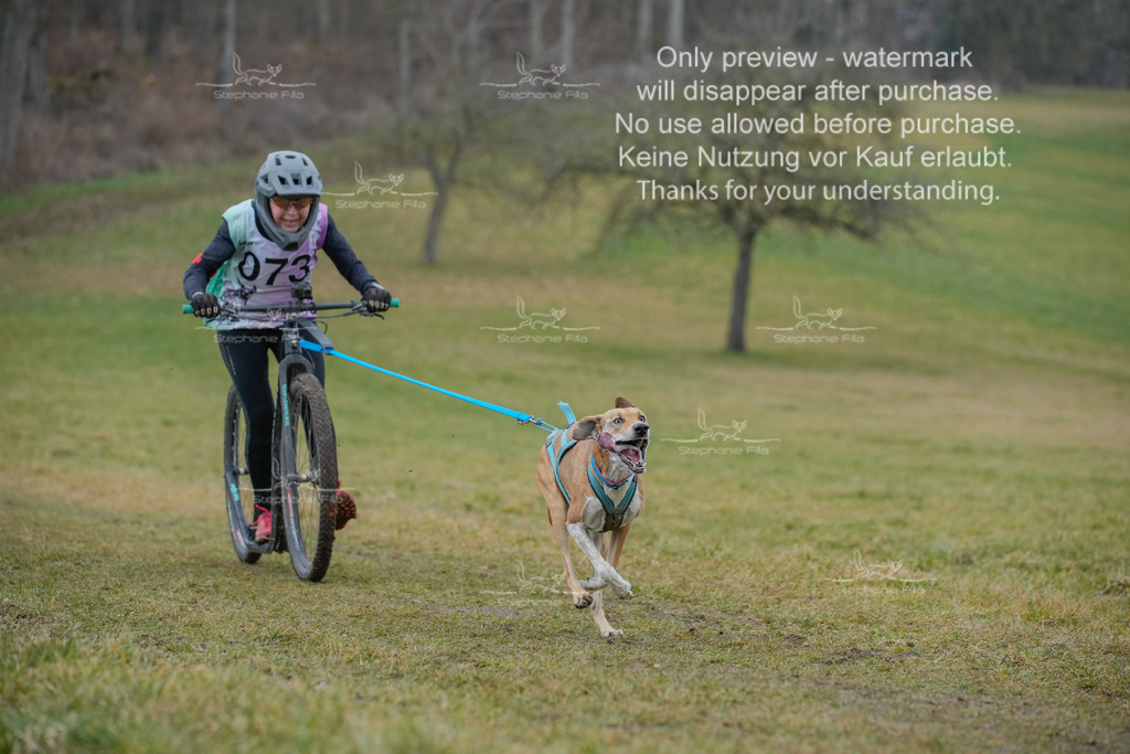 Sa_Scooter1-47 | stephaniefillaphotographie - Realisiert mit Pictrs.com