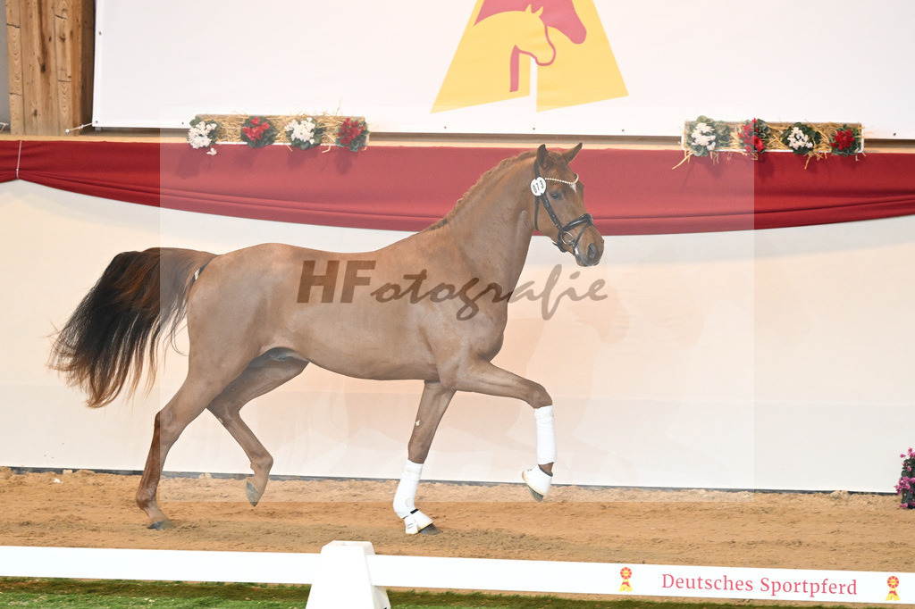 Kat-Nr. 73 Vaderland_Galneder_1230433 | hf-fotografie - Realisiert mit Pictrs.com