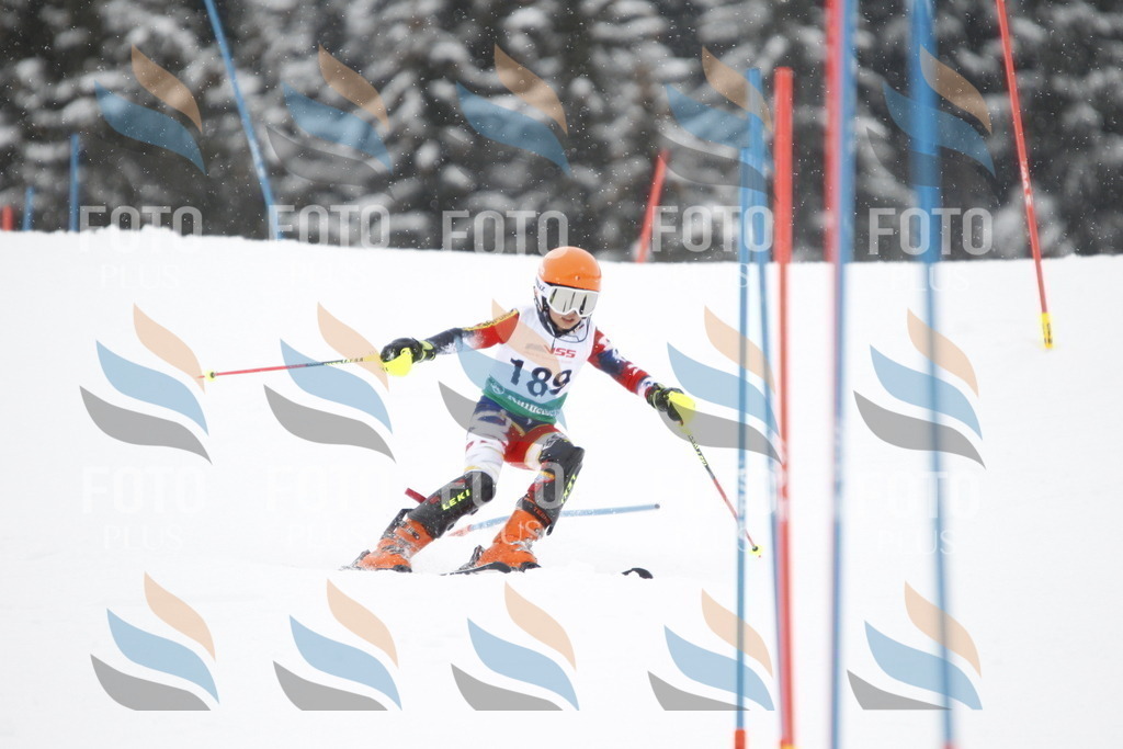 A2102 | holidayphoto