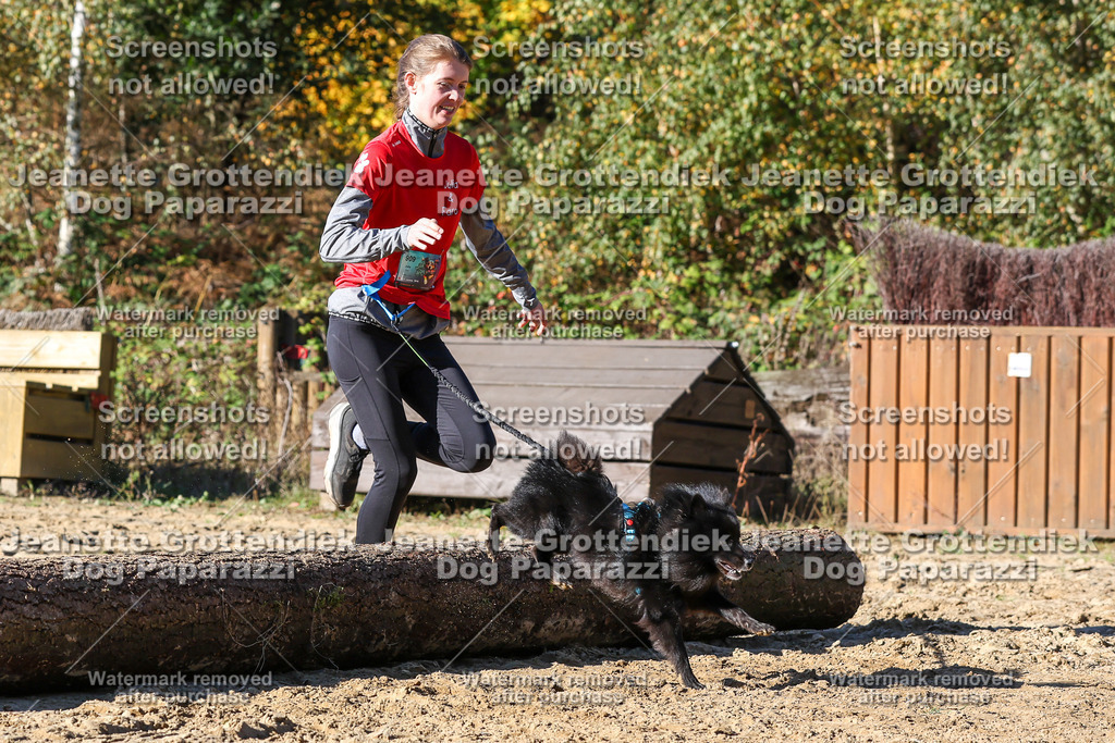 Dog Paparazzi - Strongdog 10-25-2515 | Dog Paparazzi Jeanette Grottendiek Fotografie & Videografie - Realisiert mit Pictrs.com