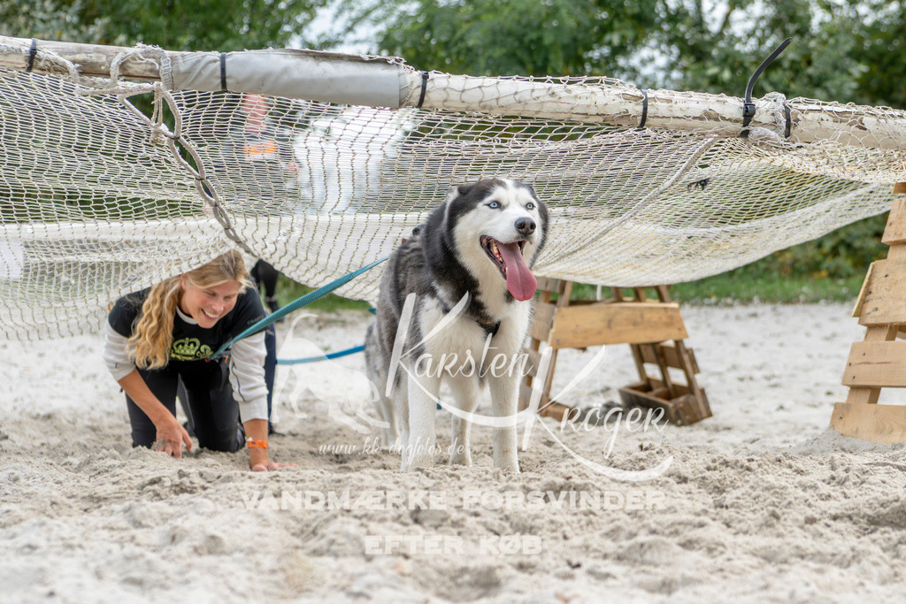 1520_ZZ94446 | kk-dogfotos