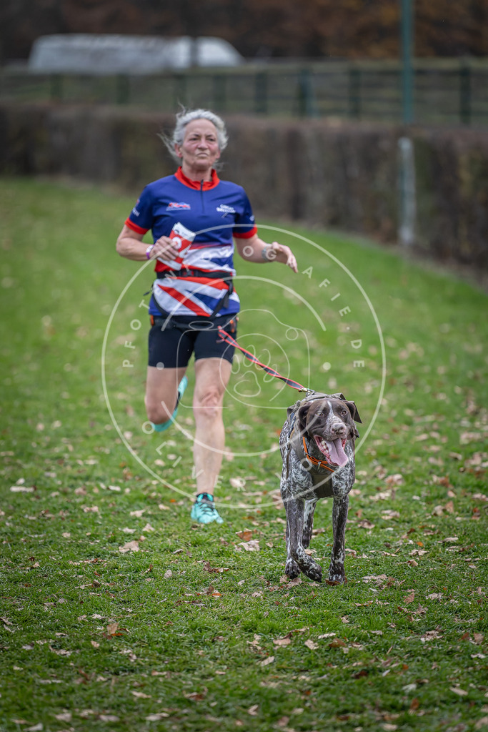 CaniXpix_DV3A7333 | Hundefotografie, Tierfotograf, Pfotenfotografie, Fotoshooting Hund, Hunde Portrait, Hundesport, Hundeportraits, Heideshooting, Hunde, Sportfotograf, Hundefotograf, Turnierhundsport, THS,  - Realisiert mit Pictrs.com