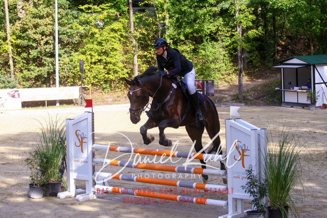 DKP42402 | Deine Turnierfotos vom Reitturnier online kaufen: Dressur, Springen & Siegerehrung. Professionelle Pferdefotografie aus dem Rheinland – als Download & Print.Alternative: Turnierfotograf für den Pferdesport: Finde deine Fotos von Dressur- und Springturnier
