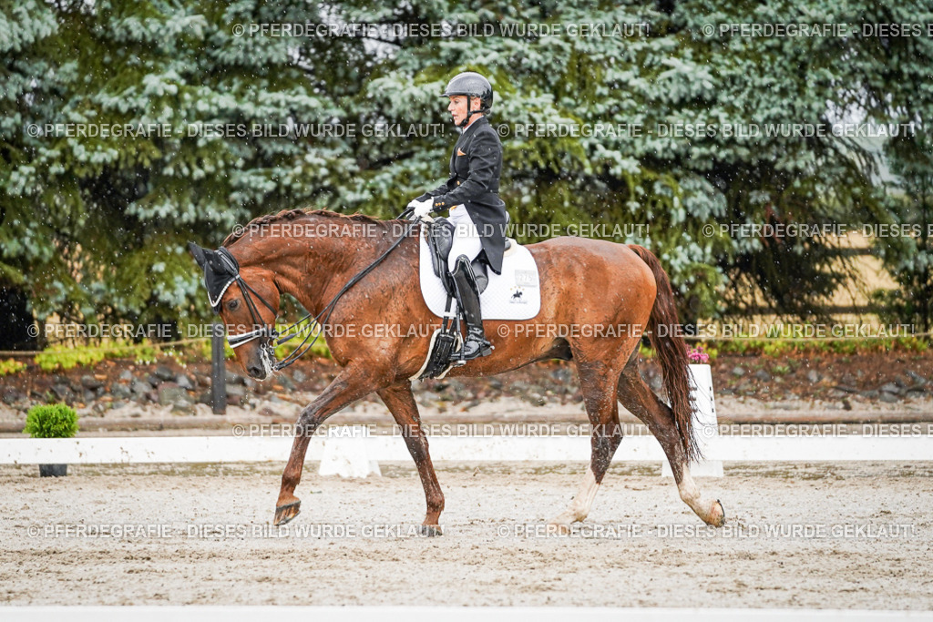 DSC09175 | Pferdegrafie