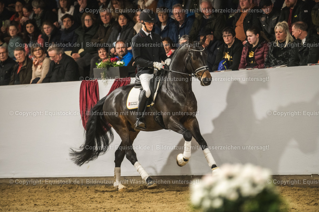 20240302_Hengstvorstellung_Marbach_TOMsPiC_0395 | equistock