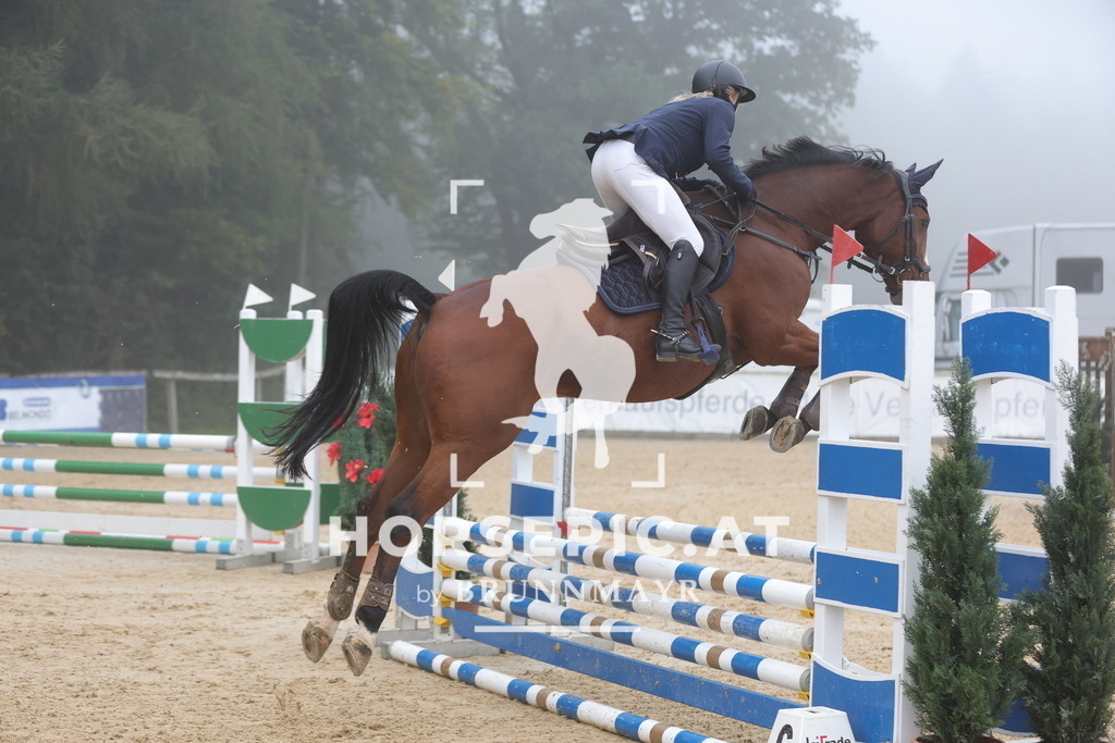 0P6A0444 | Willkommen bei Brunnmayr - Design & Fotografie – Ihrem Spezialisten für Reitturniere und Pferdeveranstaltungen in Oberösterreich, Salzburg und Bayern! Seit über 17 Jahren sind wir leidenschaftlich dabei.