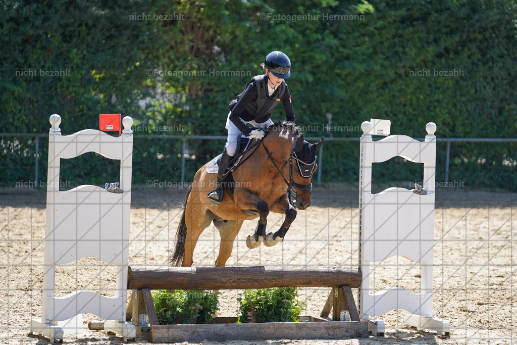 20240824-FAH08179 | Thierhaupten 2024, Bayerisches Landesponyturnier, Turnierbilder, Ponybilder, Turnierfotografen Bayern, Fotoagentur Herrmann
