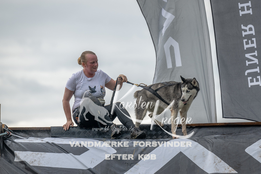 1155_ZZ93942 | kk-dogfotos