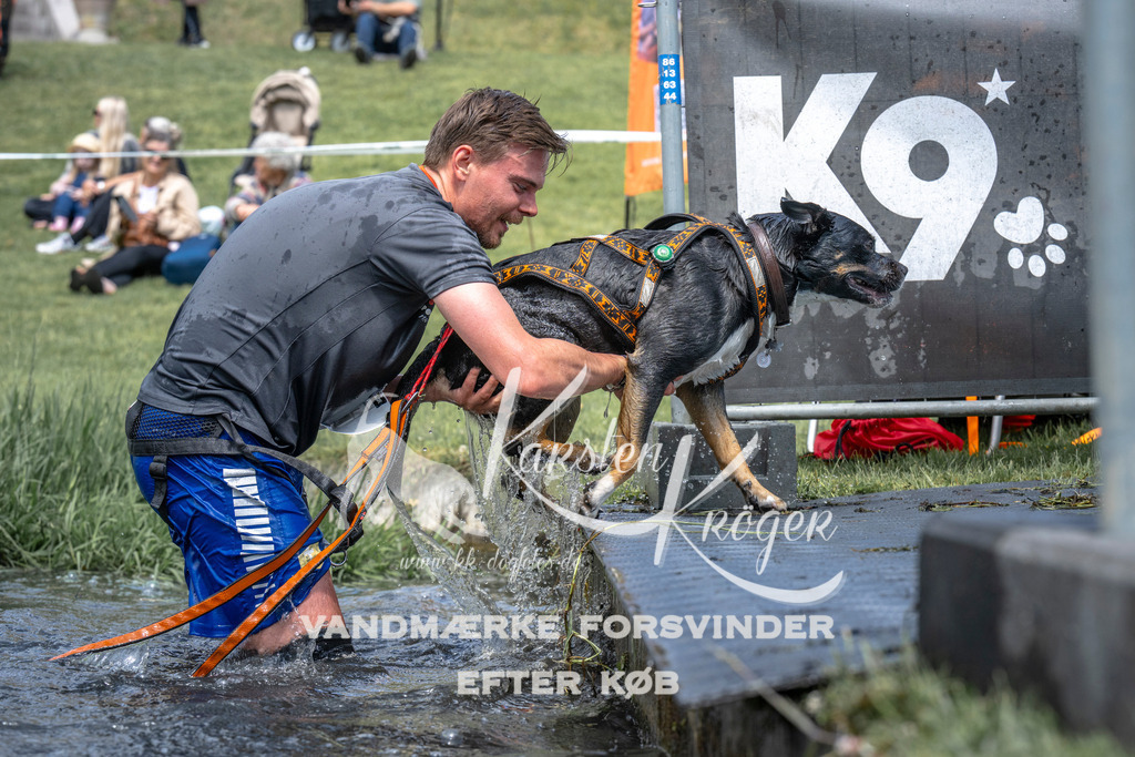 1124_ZZ91907 | kk-dogfotos
