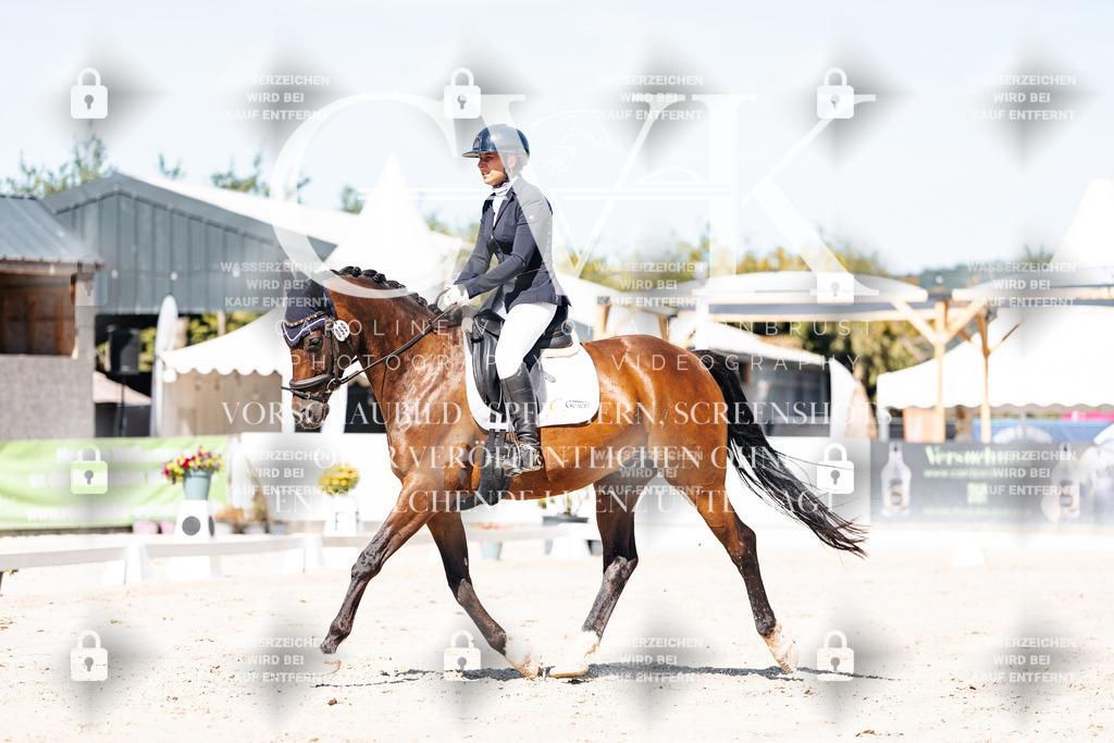 CK909272 | Turnierfotografie Pferdefotografie Trier Rheinland-Pfalz Pferdesport Reitsport Tierfotografie Sportfotografie Pferdevideo Pferdevideografie Equestrianvideography equestrianphotography  - Realisiert mit Pictrs.com