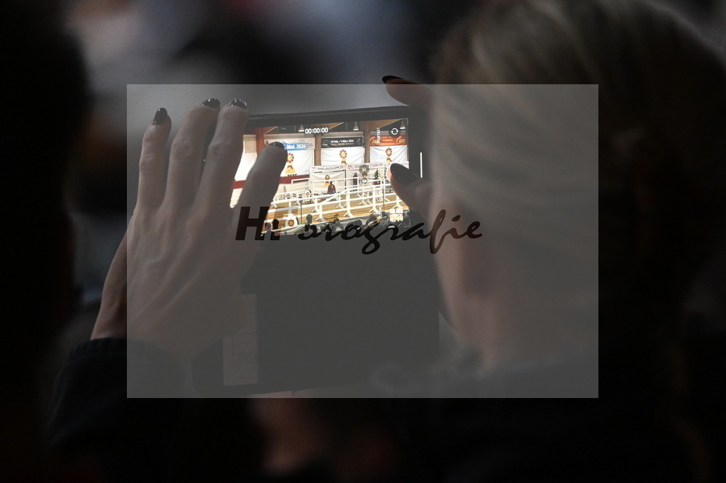 Handy_3261810 | hf-fotografie - Realisiert mit Pictrs.com