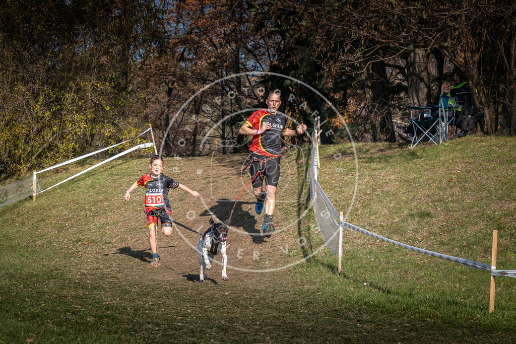 CaniXpix_0L8A8335 | Hundefotografie, Tierfotograf, Pfotenfotografie, Fotoshooting Hund, Hunde Portrait, Hundesport, Hundeportraits, Heideshooting, Hunde, Sportfotograf, Hundefotograf, Turnierhundsport, THS,  - Realisiert mit Pictrs.com