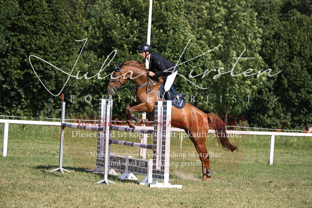 DSC_1479 | Pferde- und Turnierfotografie in Westsachsen. Pferdeportraits, Auftragszeichnungen und intuitive Kunst.