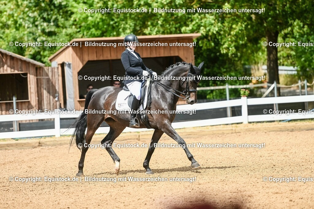 20230716_01_Dressurprüfung Kl.M_0133 | equistock