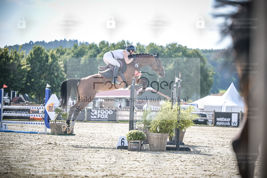DOS_9023 | Entdecke hochwertige Reitturnierfotos von Foto Oger. Professionell, emotional und authentisch – jetzt Lieblingsmomente im Shop bestellen. - Realisiert mit Pictrs.com