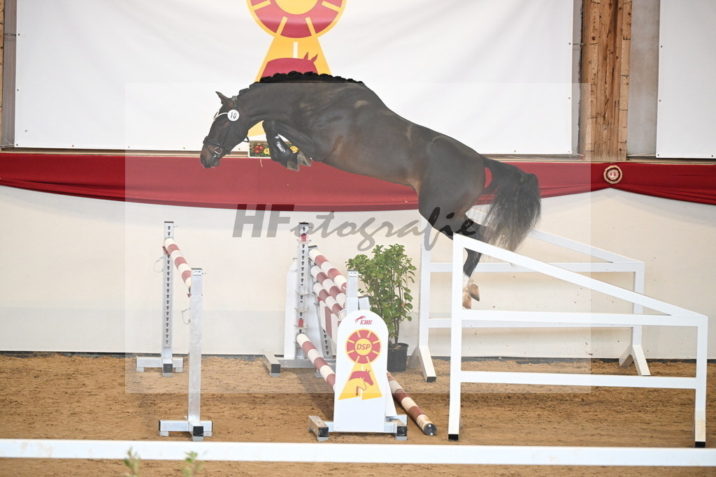 Kat.-Nr. 10 v. Chubakko_Ottmann_2251090 | hf-fotografie - Realizzato con Pictrs.com
