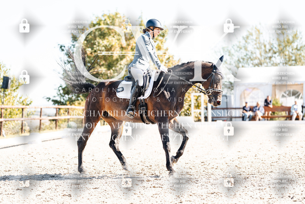 CK908816 | Turnierfotografie Pferdefotografie Trier Rheinland-Pfalz Pferdesport Reitsport Tierfotografie Sportfotografie Pferdevideo Pferdevideografie Equestrianvideography equestrianphotography  - Realisiert mit Pictrs.com