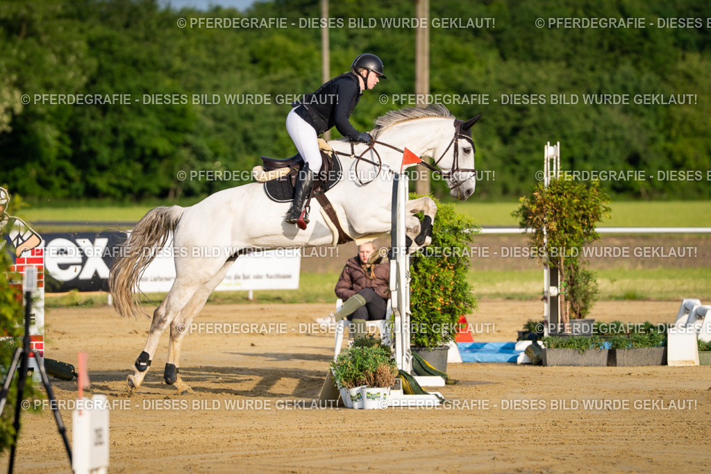 DSC01997 | Pferdegrafie