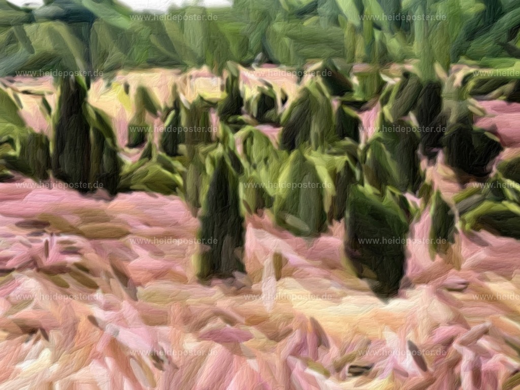 brushed_14ell039 | Poster aus der Lüneburger Heide - Realisiert mit Pictrs.com