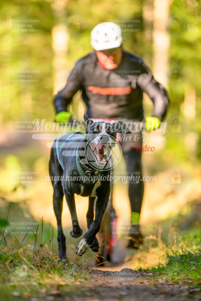 MompixPhotography_Yens2025_B3-77 | PayLife