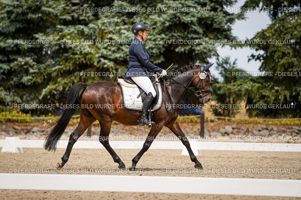 DSC04304 | Pferdegrafie