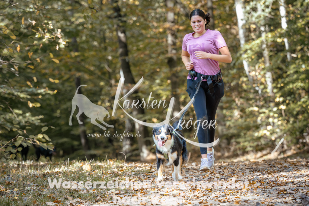 1251_ZZ96452 | kk-dogfotos