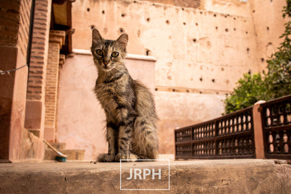 IMG_8016 | jrph - Realisiert mit Pictrs.com