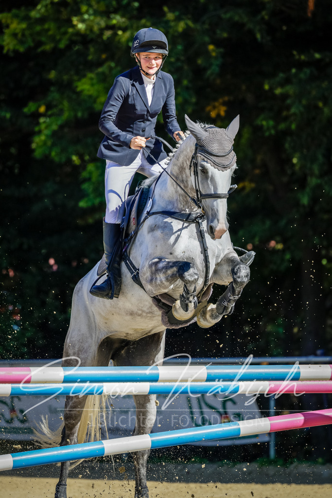 20250906-_3LI3666 | Tierfotografie Pferde, Hunde, Katzen, Haustiere.
Turnierfotografie Reitturniere, Reiten, Springreiten, Dressur in Hanau, dem Main-Kinzig-Kreis und dem Rhein-Main- Gebiet um Frankfurt