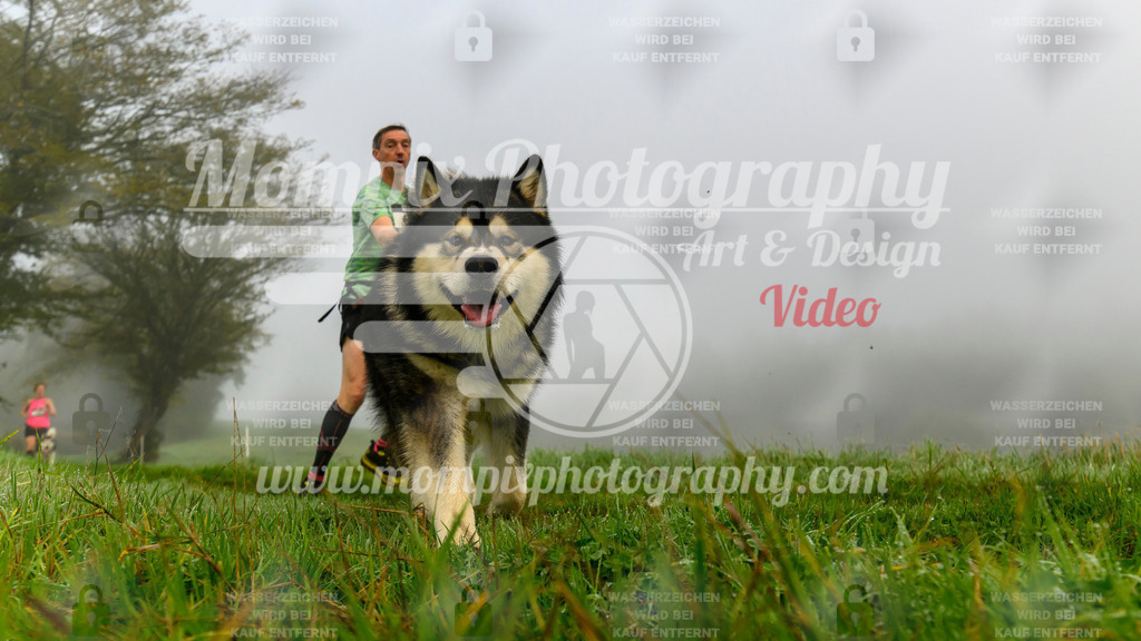 MompixPhotography_20TSB_E5_Run-3 | PayLife