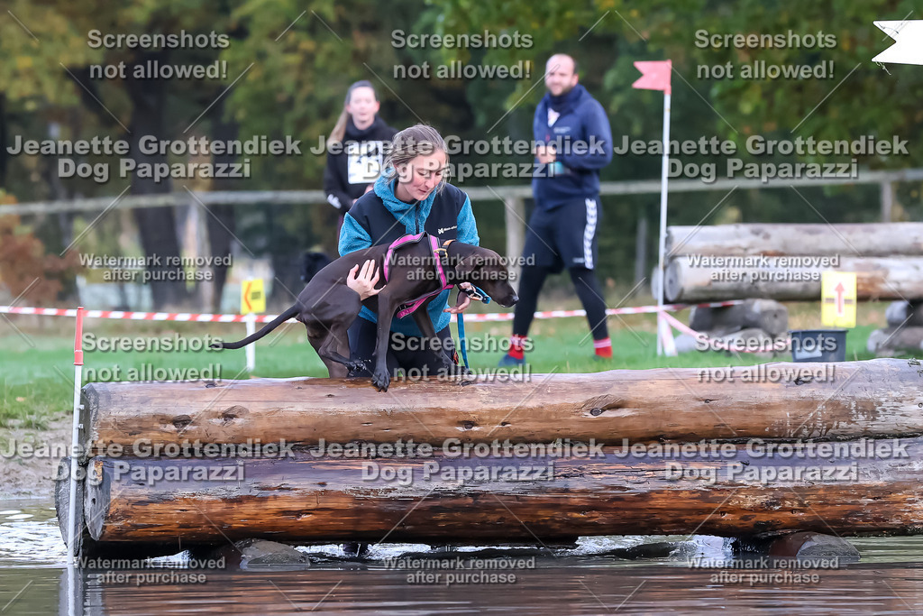 Dog Paparazzi - Strongdog 10-25-6542 | Dog Paparazzi Jeanette Grottendiek Fotografie & Videografie - Realisiert mit Pictrs.com