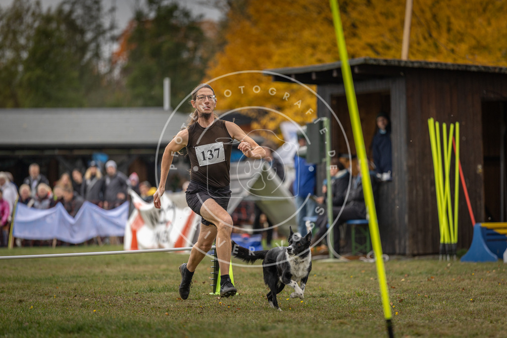 Pfotenfotografie_DV3A7858 | Hundefotografie, Tierfotograf, Pfotenfotografie, Fotoshooting Hund, Hunde Portrait, Hundesport, Hundeportraits, Heideshooting, Hunde, Sportfotograf, Hundefotograf, Turnierhundsport, THS,  - Realisiert mit Pictrs.com