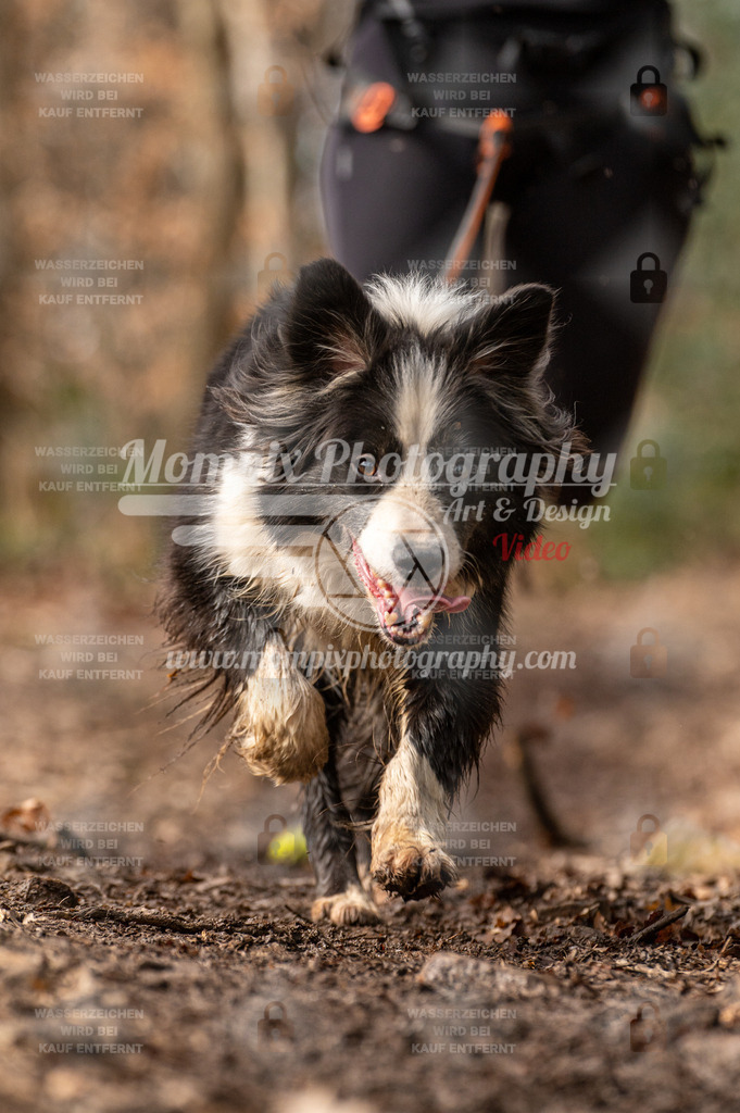 SPA_2023_DIM_Fun-32 | PayLife