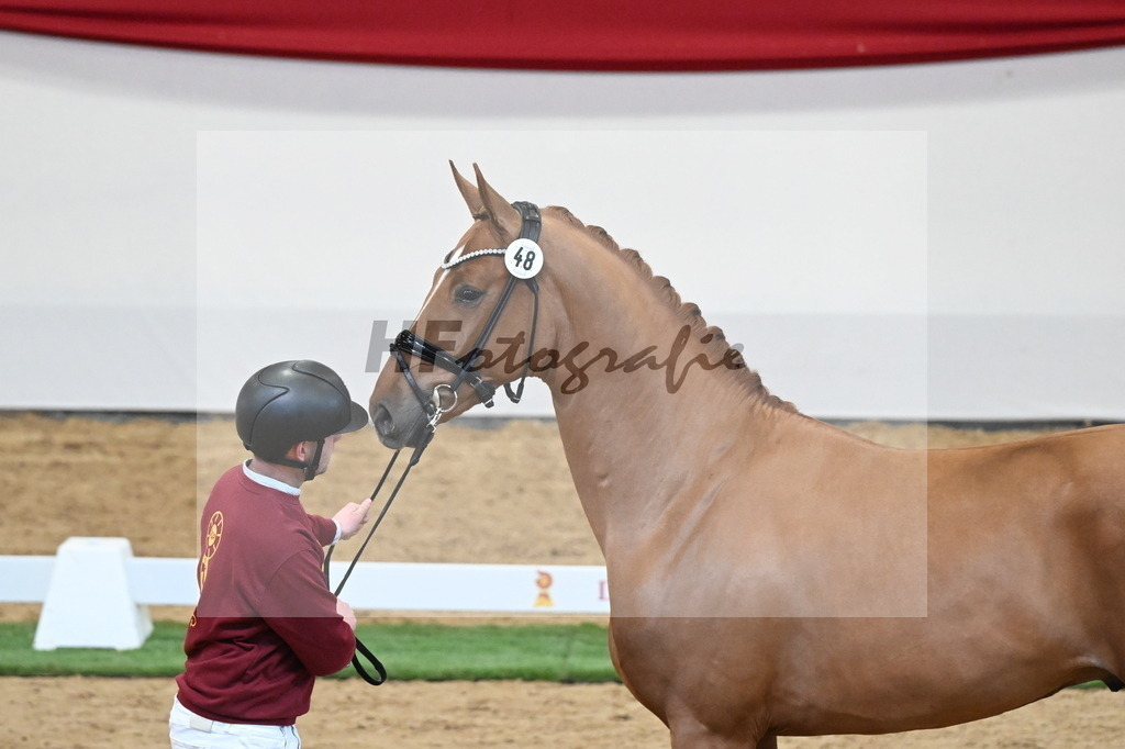 Kat.-Nr. 48 v. De Niro Gold_Schulze Averdiek_2250128 | hf-fotografie - Realisiert mit Pictrs.com