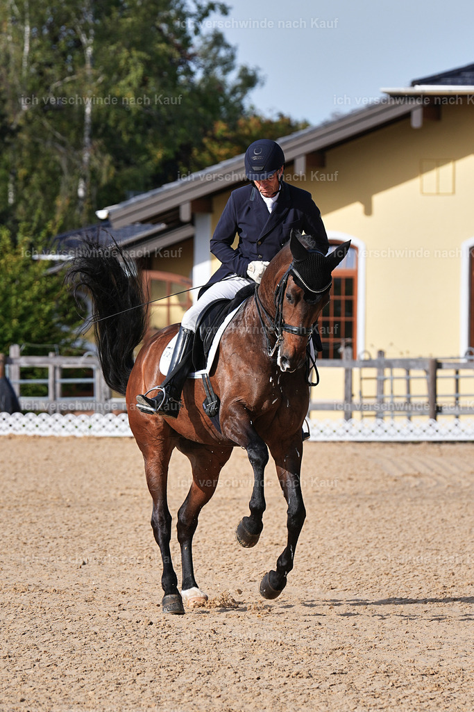 13-226-S___ -Marixx-7035 | working equitationturnier fotograf videograf stoibphotography marixx film working equitation deutschland reitsport turnierfotografie eventfotografie equestrian events