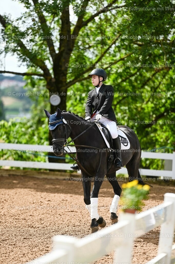 20230716_10-1_Reiter-WB Schritt - Trab - Galopp_0161 | equistock