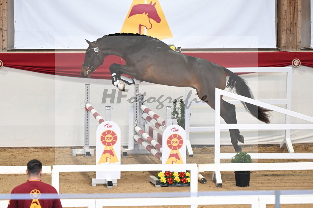 Kat.-Nr. 12 v. Conthargos_Scheuerer_3261604 | hf-fotografie - Realisiert mit Pictrs.com