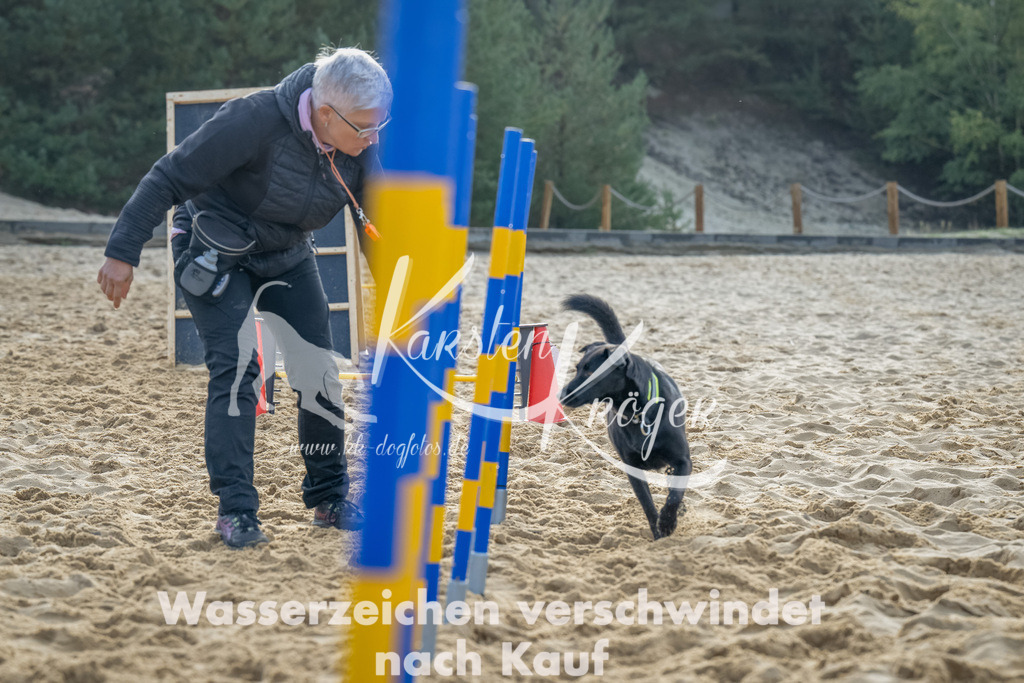0902_ZZ91734-Bearbeitet | kk-dogfotos