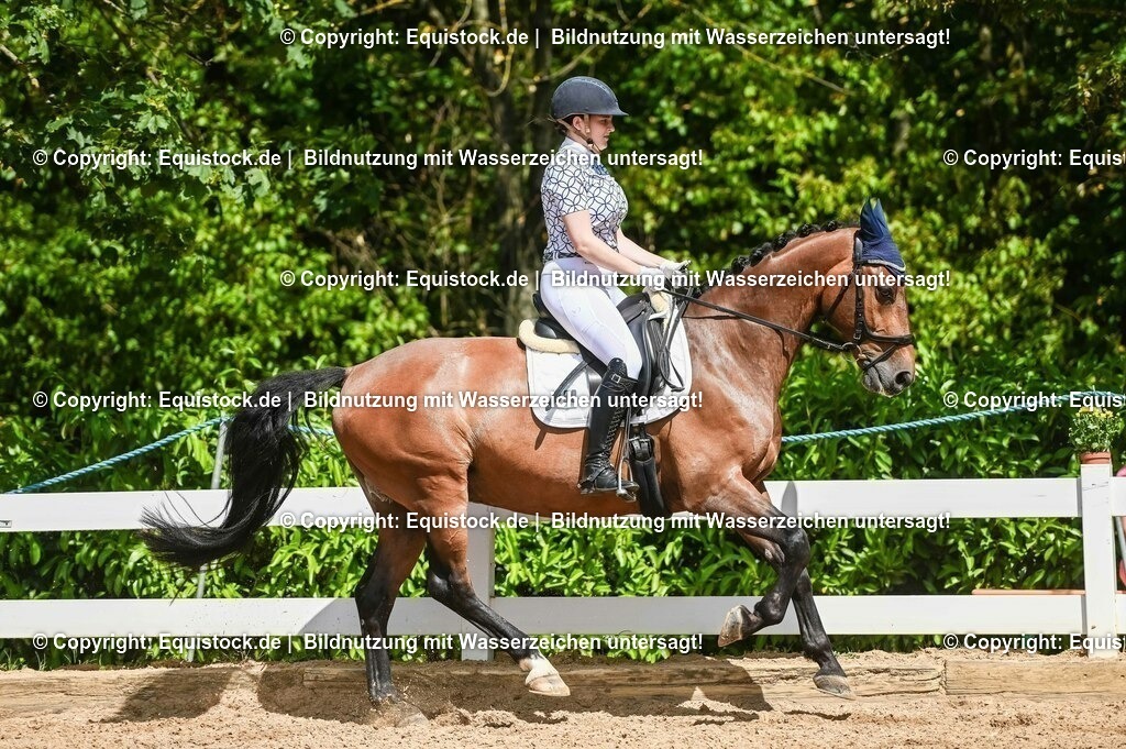 20230715_02_Dressurreiterprüfung Kl.L_0154 | equistock
